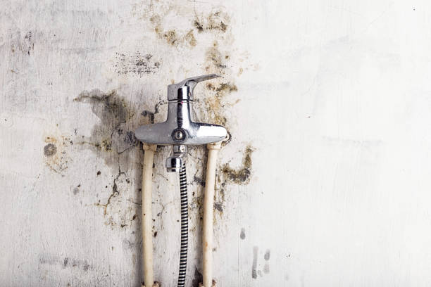 Best Mold Remediation  in Germantown, IL