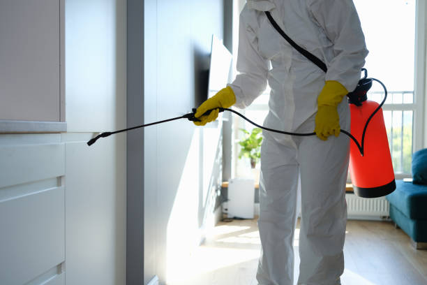Crawl Space Mold Removal in Germantown, IL