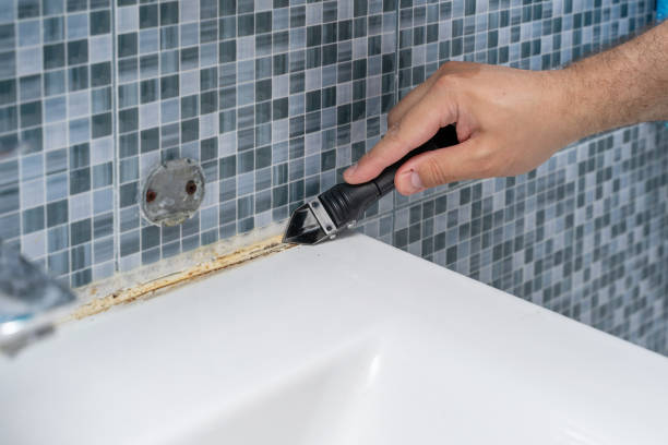 Best Best Mold Removal Companies  in Germantown, IL