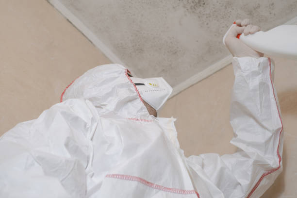 Best Toxic Mold Removal  in Germantown, IL